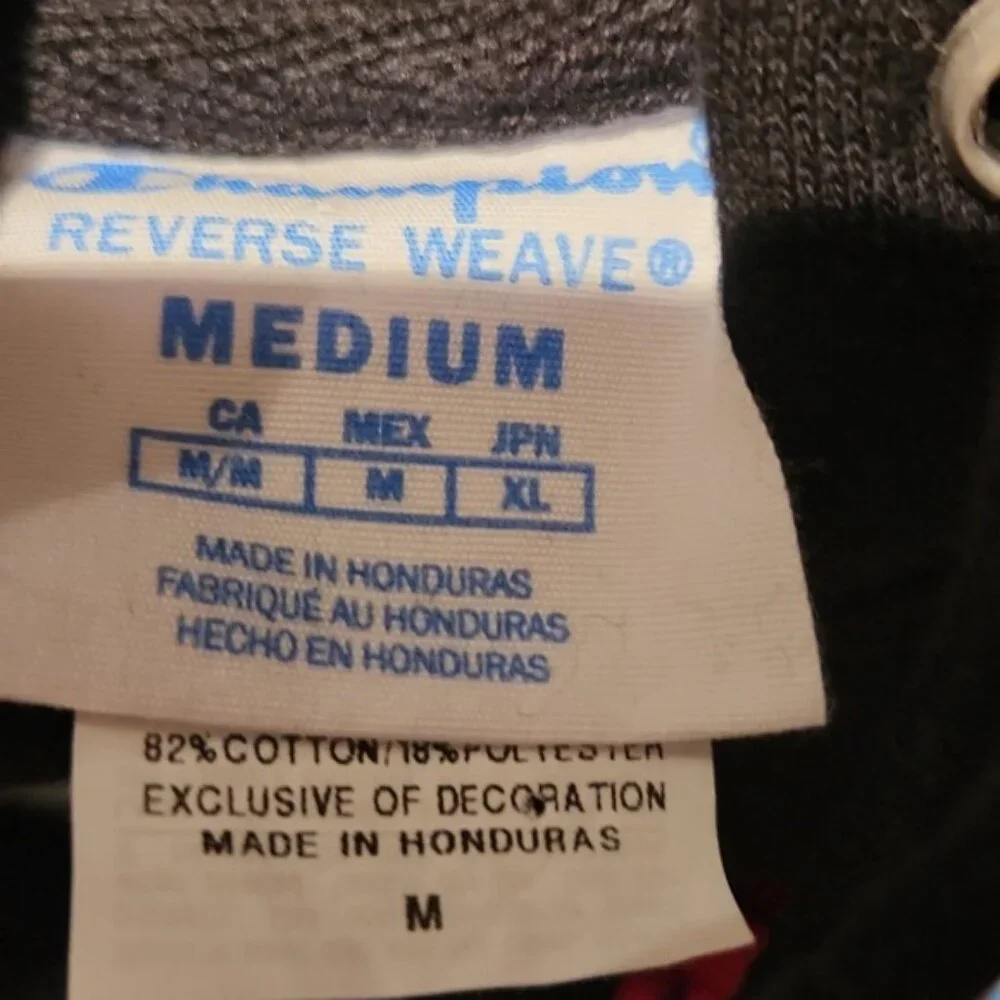 Champion Medium Colorblock‎ Reverse Weave Hoodie with Blue and Pink Logo